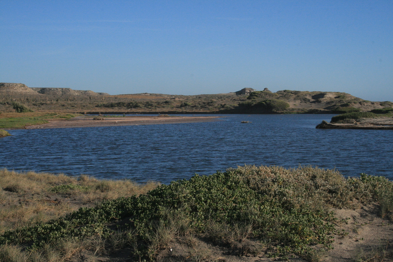 Estuary at Playas Pacificas