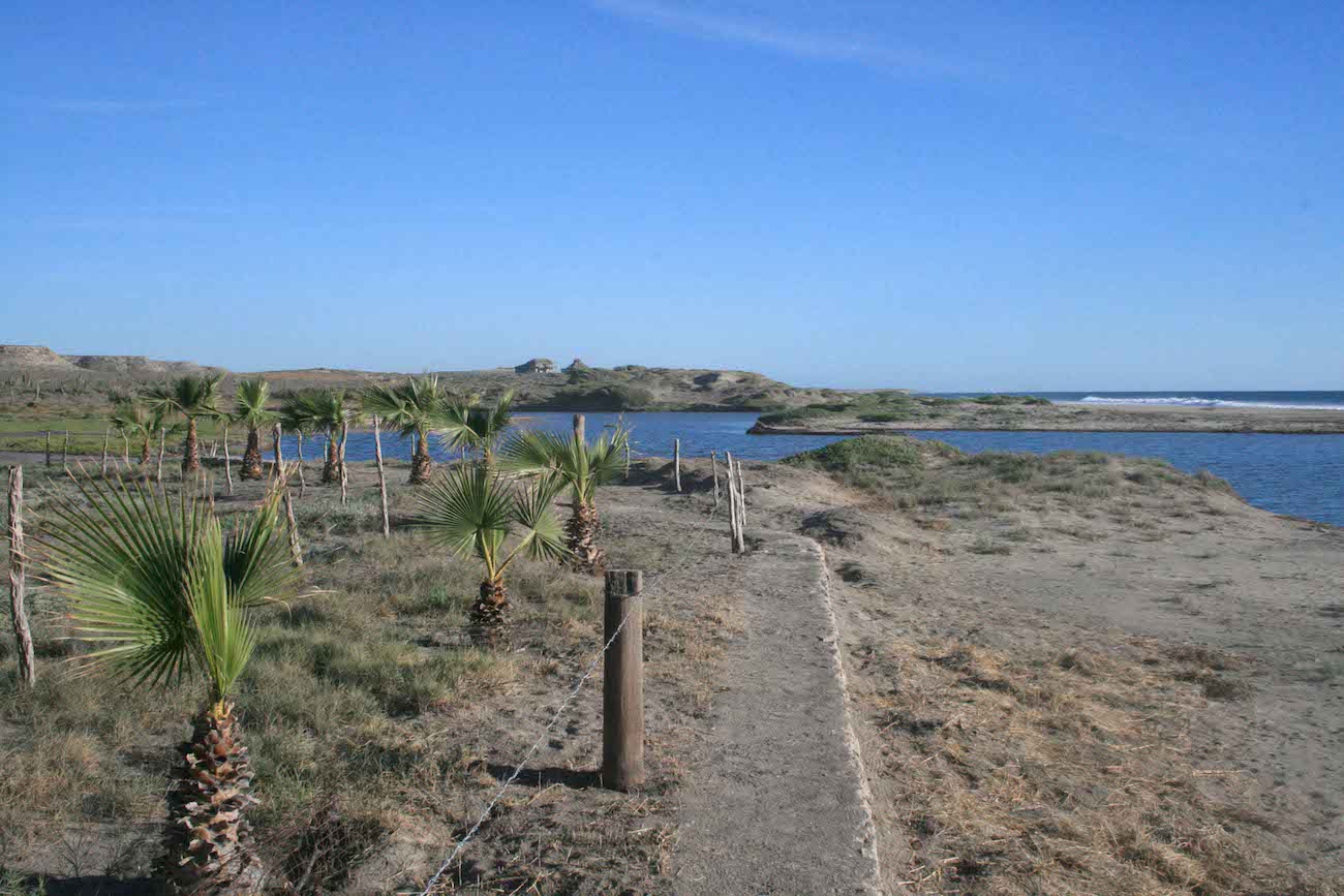 Estuary and walkway Playas Pacificas