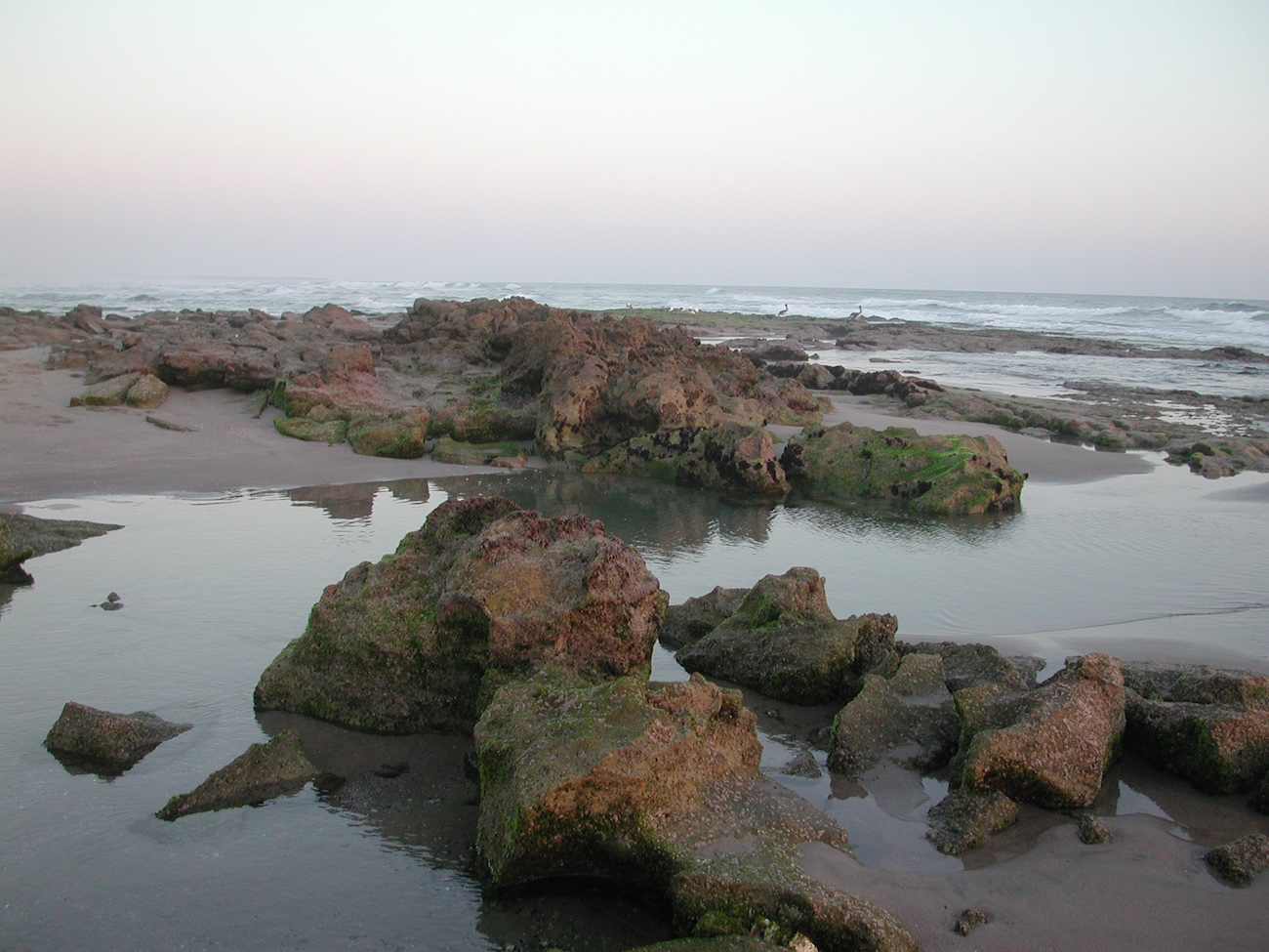 Tidepools at the Playas beachfront